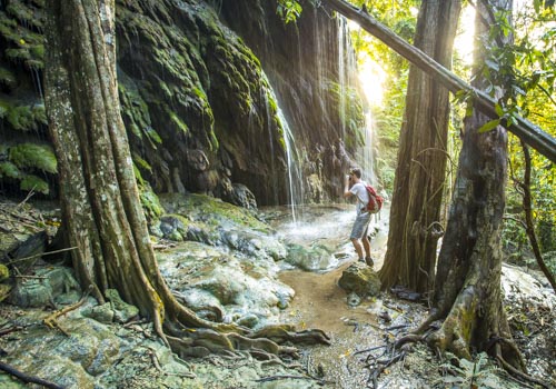 christmas island photo tour example 15